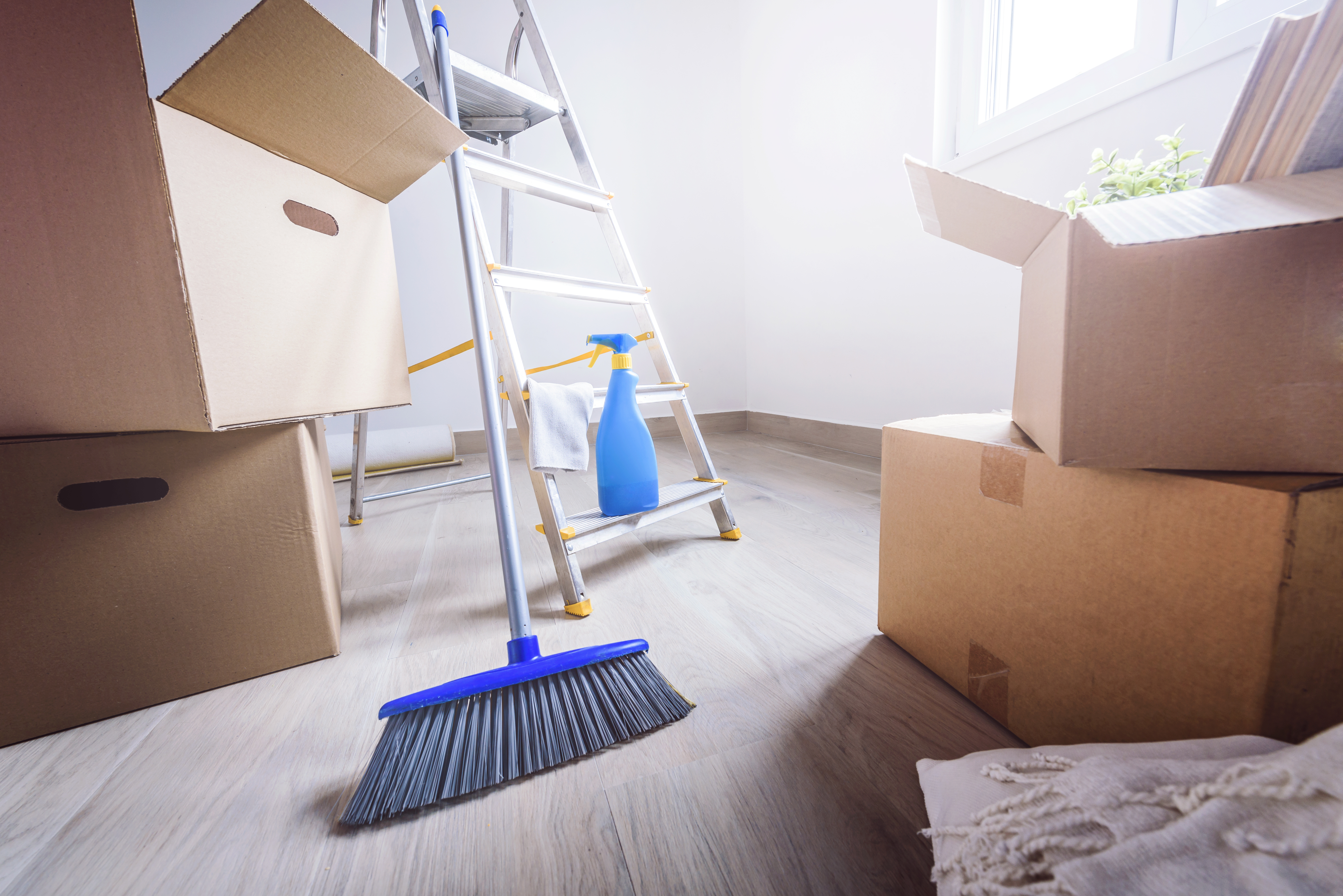 Empty room with moving boxes, ladder, broom, spray bottle, and potted plant during relocation